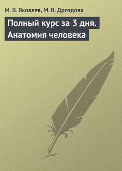 Нормальная анатомия человека: конспект лекций