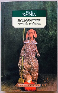 Исследования одной собаки