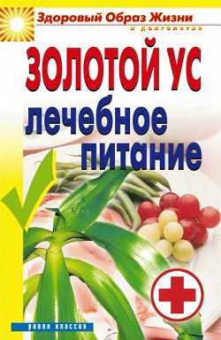 Золотой ус. Лечение и профилактика простудных заболеваний