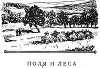 Поля и леса