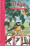 Птицы. Школьный путеводитель