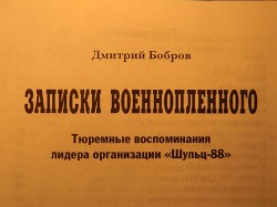 Записки военнопленного (СИ)