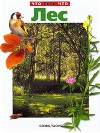 Лес