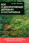 Все о декоративных деревьях и кустарниках