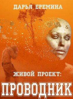 Живой проект: проводник (СИ)