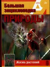 Т. 6. Жизнь растений. Травянистые растения.