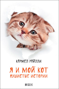 Я и мой кот. Пушистые истории