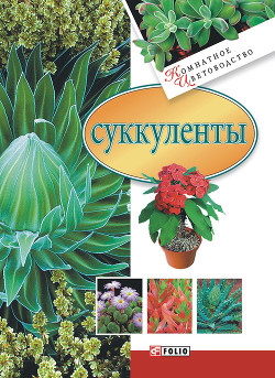 Суккуленты