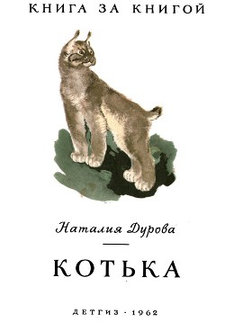 Котька. Рассказы