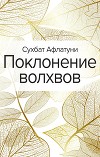 Поклонение волхвов. Книга 1