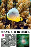 Журнал "Наука и Жизнь" 2013 №3