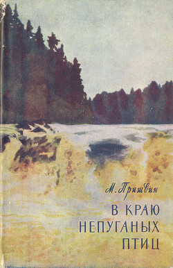 В краю непуганых птиц (сборник)
