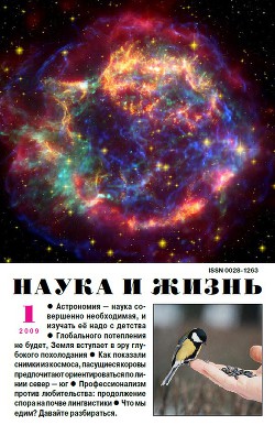 Журнал "Наука и Жизнь" 2009 №1