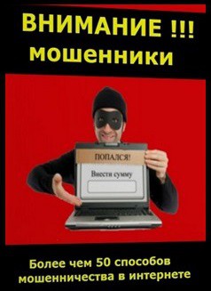 Внимание!!! Мошенники. Мошенничество в интернете (СИ)