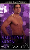 Аметистовая луна (ЛП)