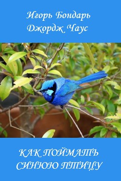 Как поймать синюю птицу (СИ)