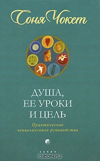 Душа, ее уроки и цель. Практическое ченнелинговое руководство