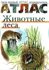 Атлас. Животные леса