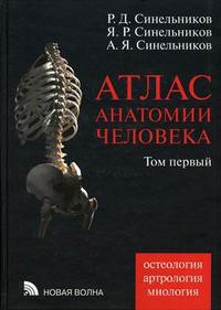 Атлас анатомии человека: Учебное пособие. Том 1