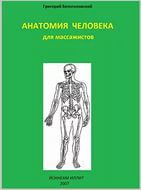 Анатомия человека для массажистов