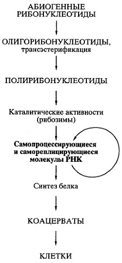 Биосинтез белков, мир РНК и происхождение жизни