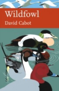 Wildfowl (Collins New Naturalist Library, Book 110)