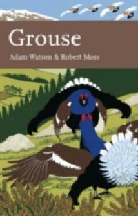 Grouse (Collins New Naturalist Library, Book 107)