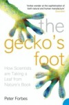 Gecko's Foot