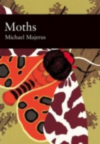 Moths (Collins New Naturalist Library, Book 90)