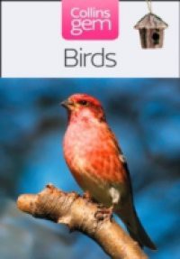 Birds (Collins Gem)