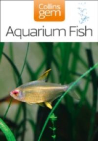 Aquarium Fish (Collins Gem)