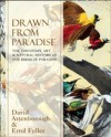 Drawn From Paradise: The Discovery, Art and Natural History of the Birds of Paradise