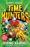 Viking Raiders (Time Hunters, Book 3)
