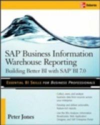 SAP Business Information Warehouse Reporting