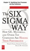 Six Sigma Way, Chapter 12