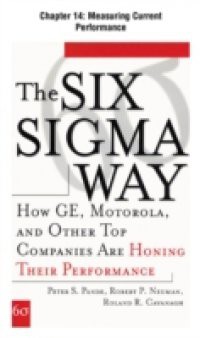 Six Sigma Way, Chapter 14