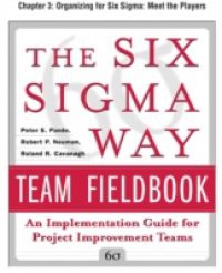 Six Sigma Way Team Fieldbook, Chapter 3