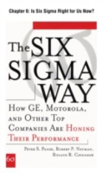 Six Sigma Way, Chapter 6