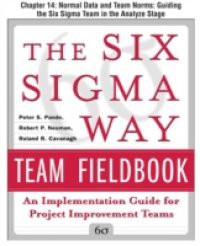 Six Sigma Way Team Fieldbook, Chapter 14