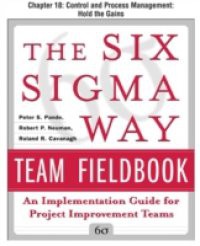 Six Sigma Way Team Fieldbook, Chapter 18