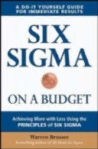 Six Sigma on a Budget: Achieving More with Less Using the Principles of Six Sigma