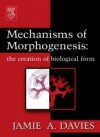 Mechanisms of Morphogenesis