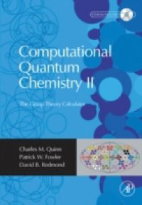 Computational Quantum Chemistry II – The Group Theory Calculator