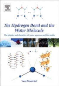 Hydrogen Bond and the Water Molecule