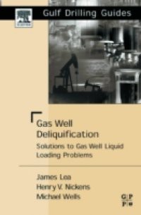 Gas Well Deliquification