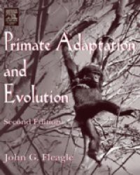 Primate Adaptation and Evolution