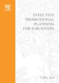 Effective Promotional Planning for e-Business