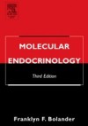 Molecular Endocrinology