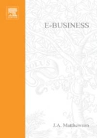 e-Business – A Jargon-Free Practical Guide