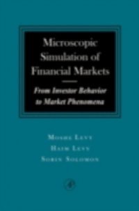 Microscopic Simulation of Financial Markets